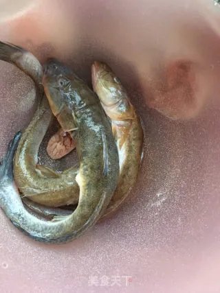 海鲶鱼炖豆腐