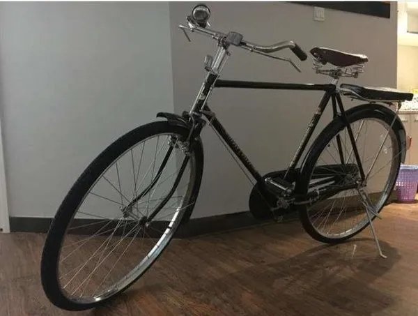 2020自行车品牌排行榜_十大自行车品牌大全