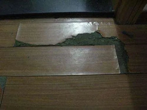 什么是复合地板 复合地板的优缺点有哪些