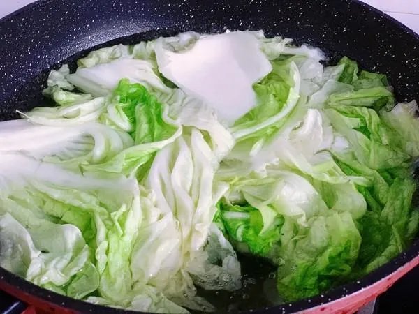 猪肉白菜饺子用什么白菜