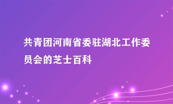 共青团河南省委驻湖北工作委员会的芝士百科