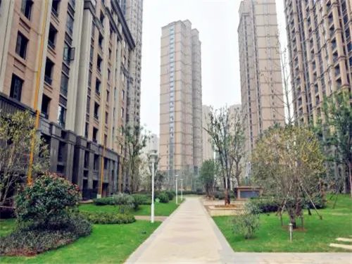 郑州房地产政策有哪些