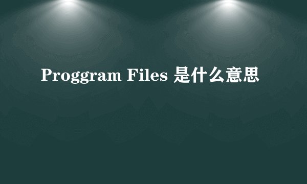 Proggram Files 是什么意思