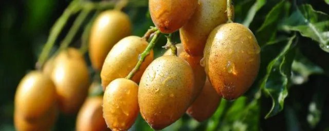 云浮特产有哪些